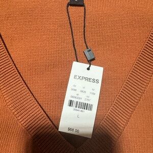 Express Rust V-Neck Sweater